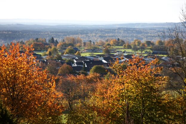 a small town or village nestled among trees with autumn foliage